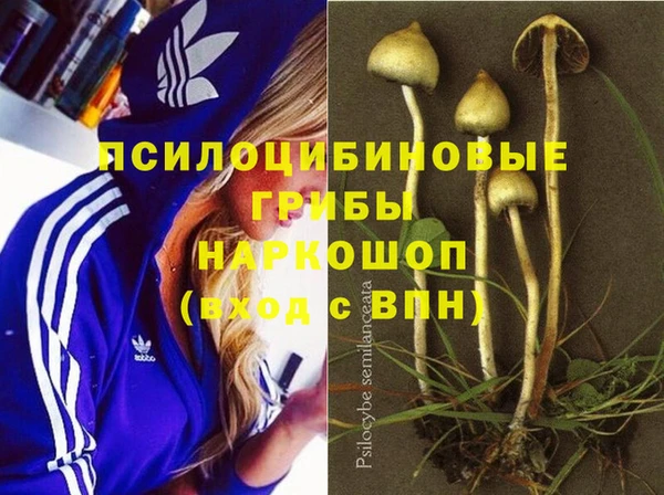 apvp Костерёво